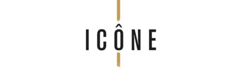 logo Icône